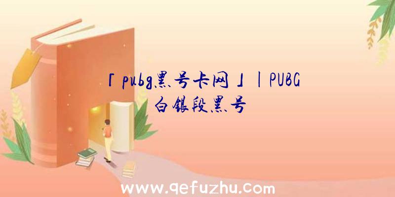 「pubg黑号卡网」|PUBG白银段黑号